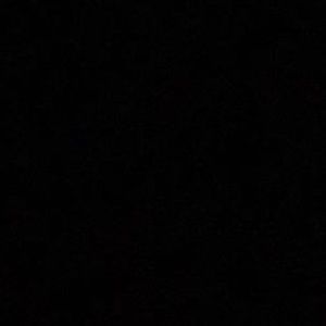 Meet your Posher, Gracie